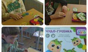 сегодня на занятии